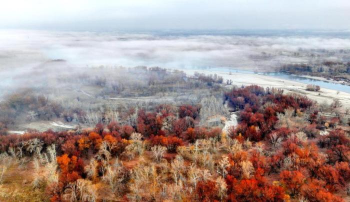 额尔齐斯河新疆北屯段现壮美晨雾景观