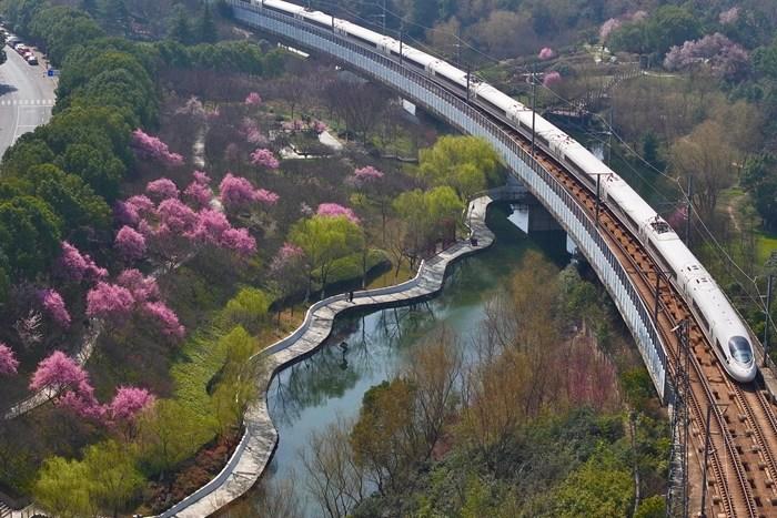 安徽合肥：高铁驶过春日花海