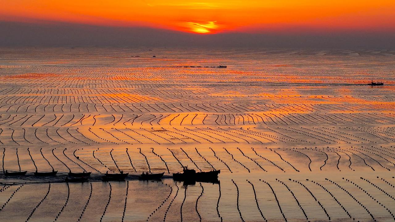 山东荣成：牧海晨歌与霞光共交织