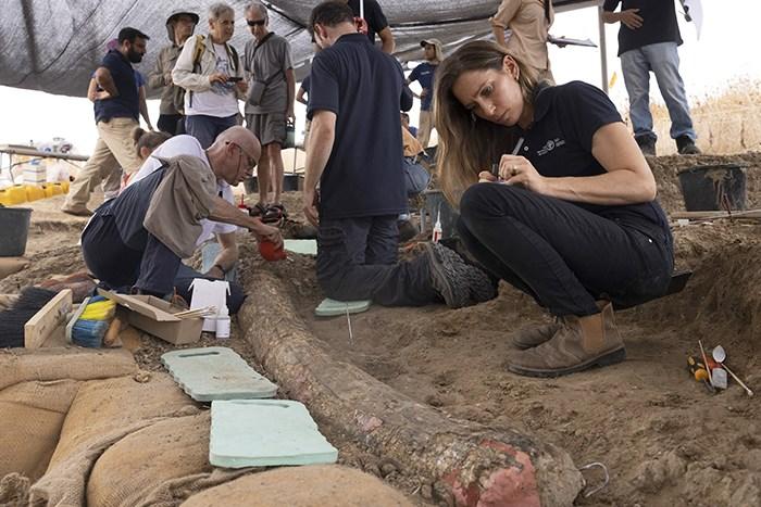 以色列现50万年前象牙