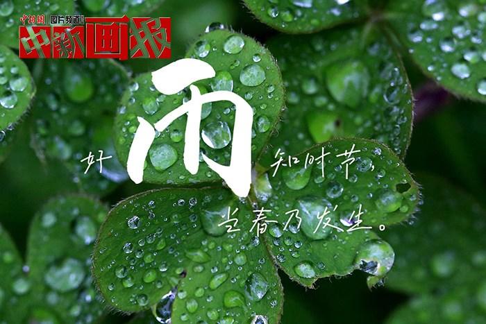 世界读书日 把诗词春天写进春天里